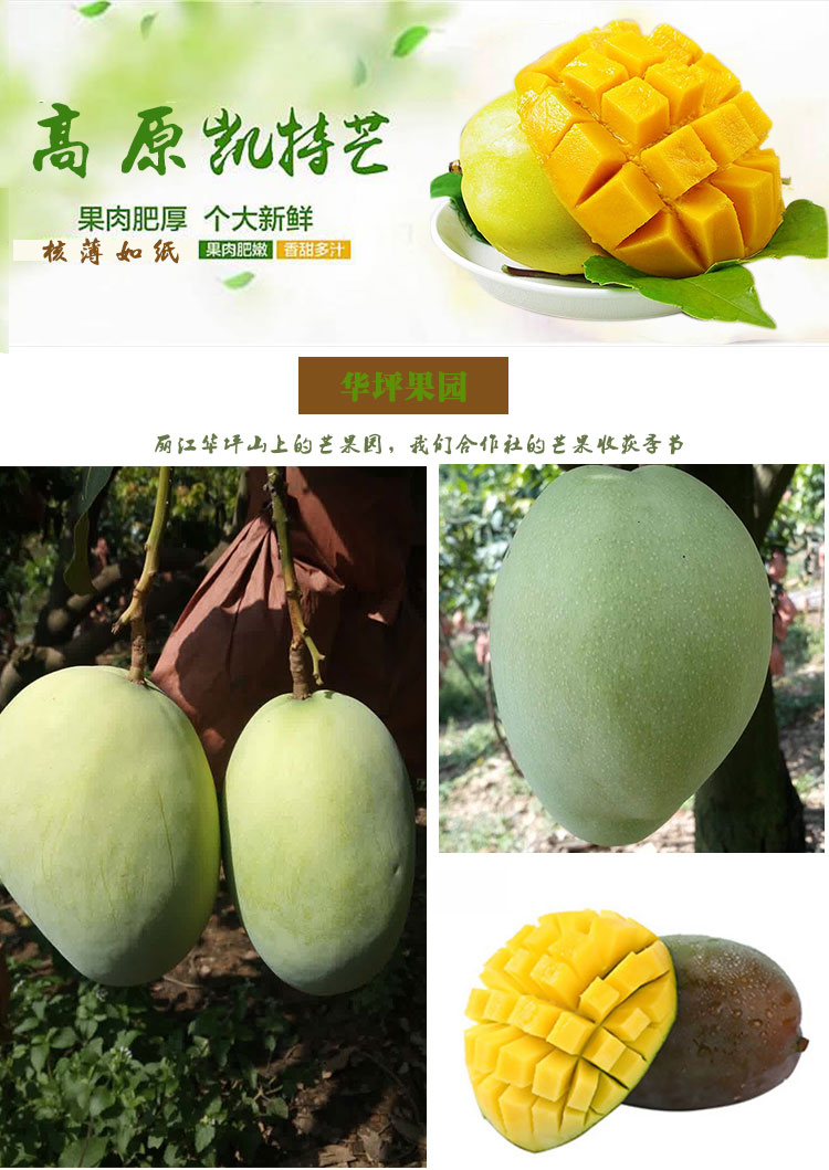 详情页芒果_01.jpg