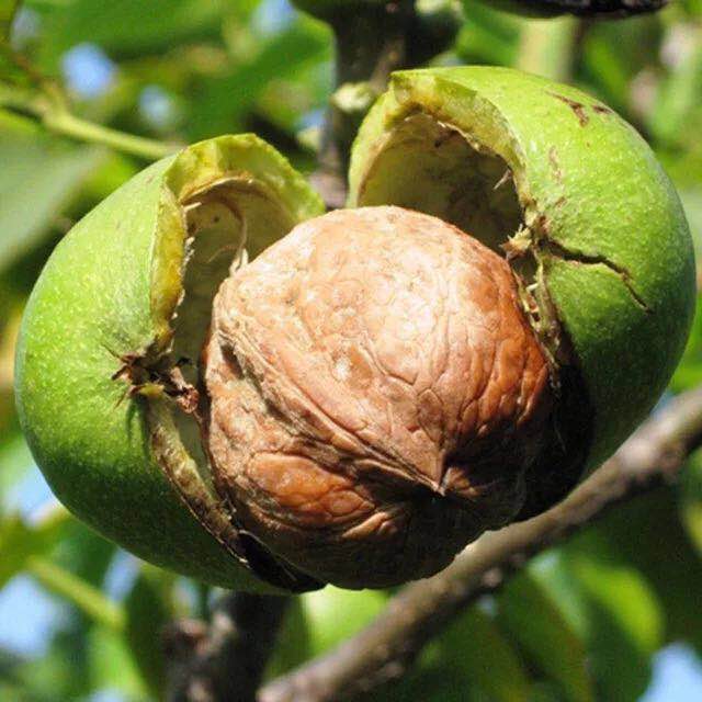 Cloud Zoom small image