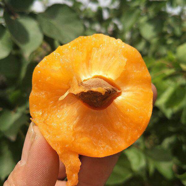 Cloud Zoom small image