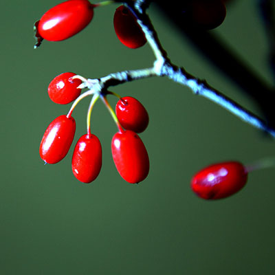 Cloud Zoom small image