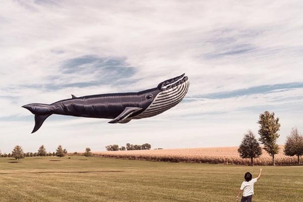 Cloud Zoom small image