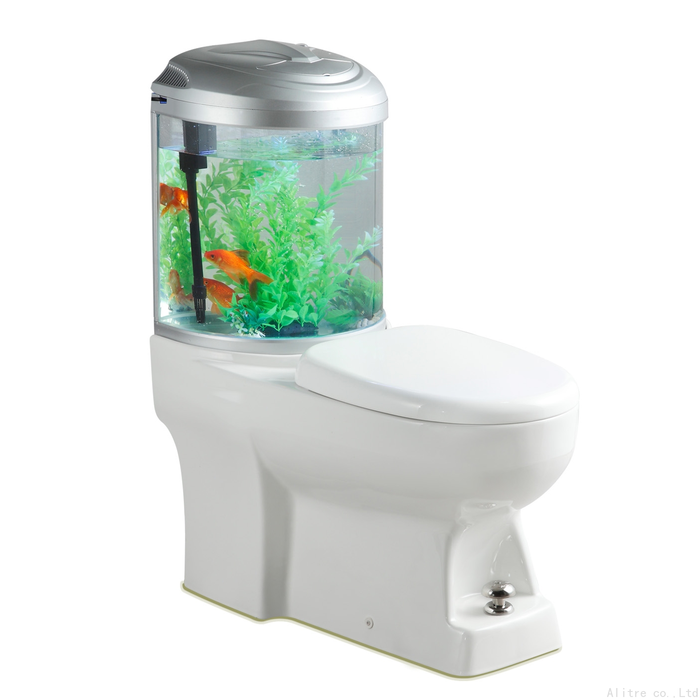 Fish Tank Toilet Cost at Brandon Olguin blog