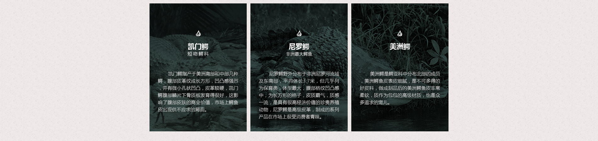 鳄鱼皮高尔夫球定做厂家