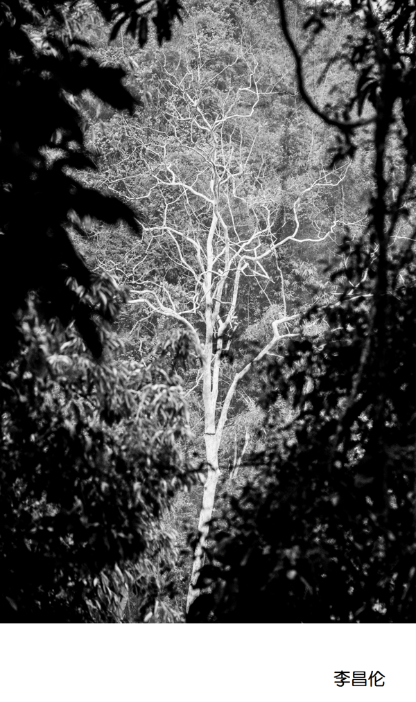 2017上期摄影班老师李昌伦作品