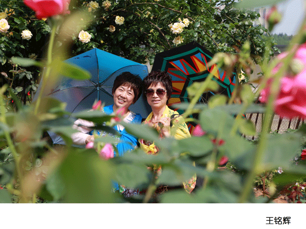 2017上期摄影班学员王铭辉作品