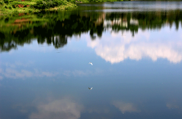 2018老年大学下期摄影班陈淑琴学员作品