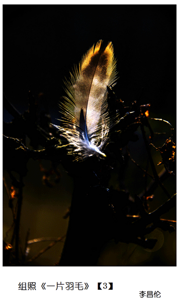 2019上期摄影班师生作品