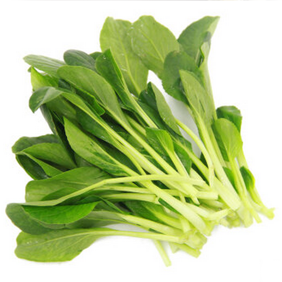 【菜地直采】鸡毛菜