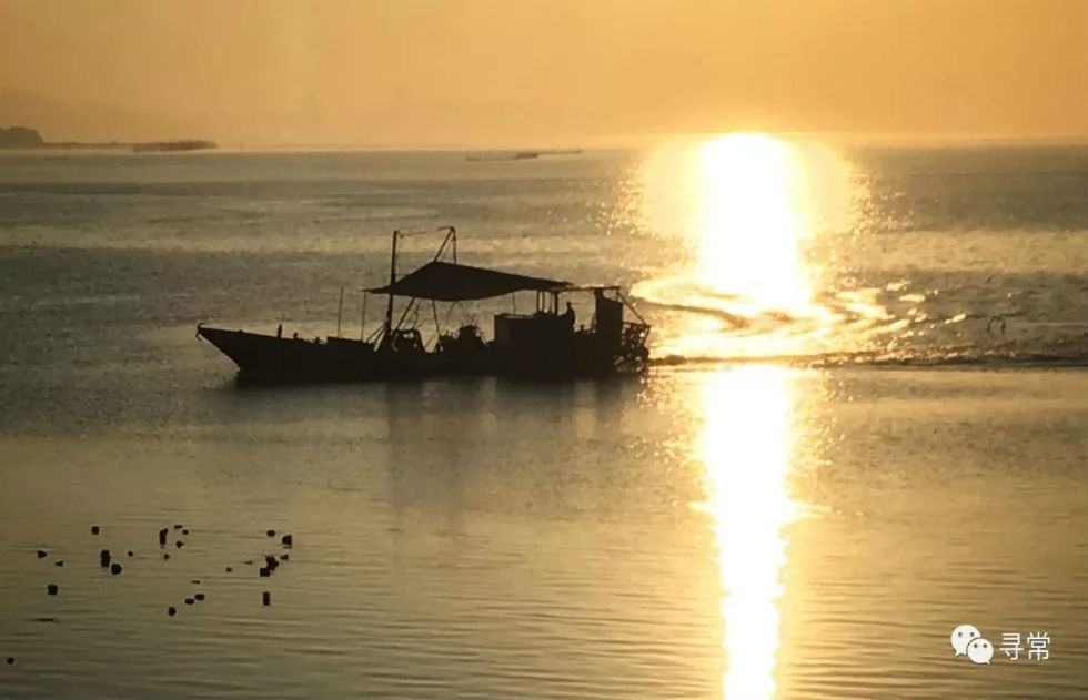 20190120151416_31535.jpg 8.webp.jpg