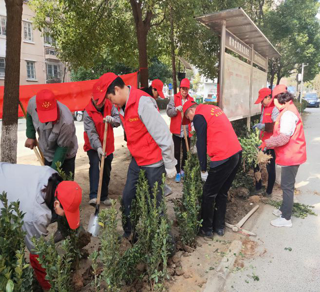 美化環(huán)境，播種綠色