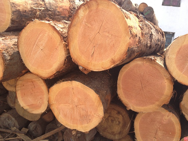 20200405081516_23949.jpg 201706201005571026411.jpg