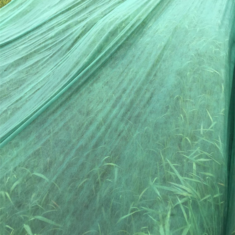 20190905114329_80050.jpg