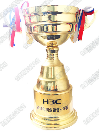 2011 H3C 商业销售一等奖