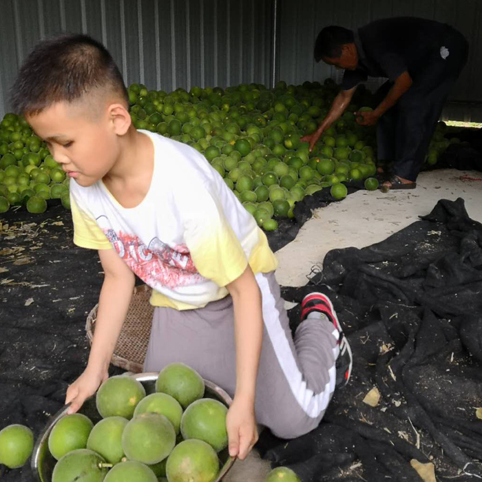 20200616165125_47337.jpg O1CN01zKlClz1D4h9a2huJQ_!!3351790163.jpg