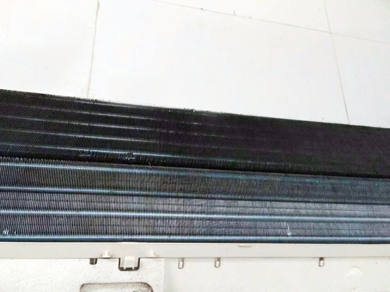20200404191724_20540.jpg