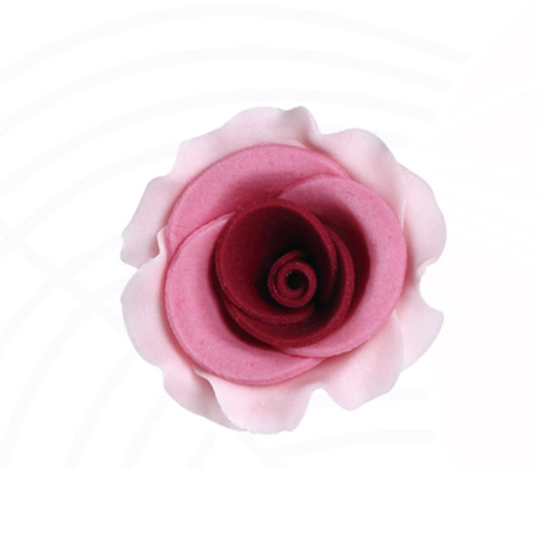 Cloud Zoom small image