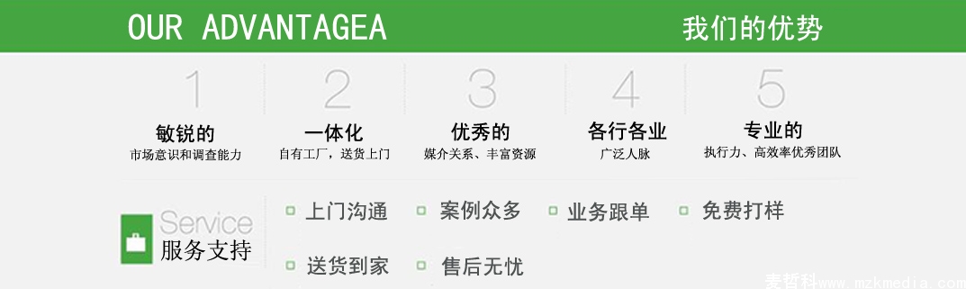 我們的優(yōu)勢(shì) 我們的優(yōu)勢(shì)