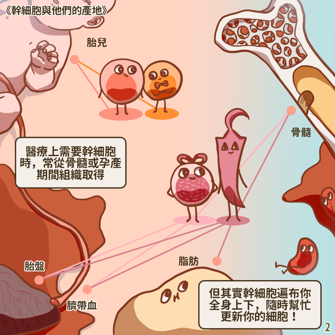 干细胞羊水干细胞专利在台湾