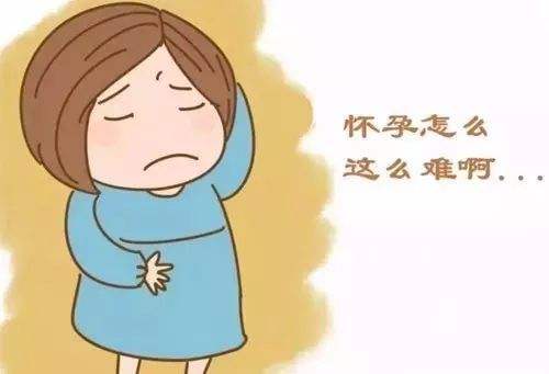 甲状腺功能与怀孕的关系 甲状腺功能与怀孕的关系