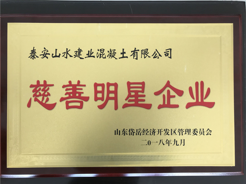慈善明星企业