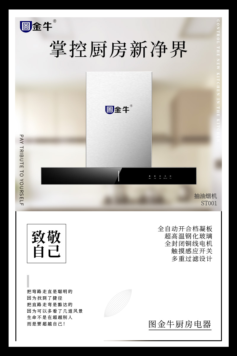 抽油烟机ST001