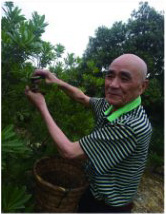 林理明艺术简历