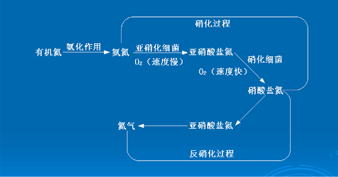 20200323141642_66100.png 12605596.png