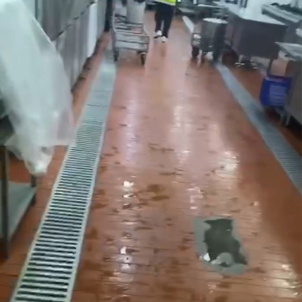 合肥食堂滅鼠滅蟑螂