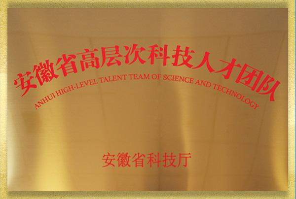安徽省高層次科技人才團(tuán)隊