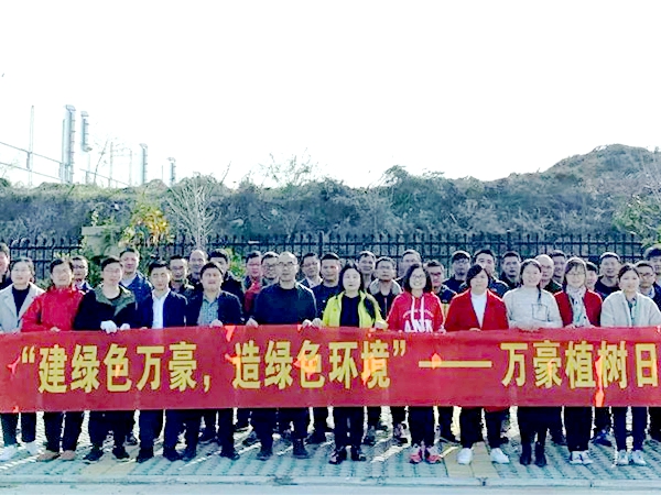 建綠色萬豪，造綠色環(huán)境——萬豪植樹日側(cè)記