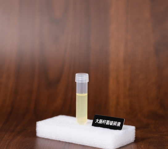 20250509131504_54911.png 压缩大肠杆菌破碎液商品图.png