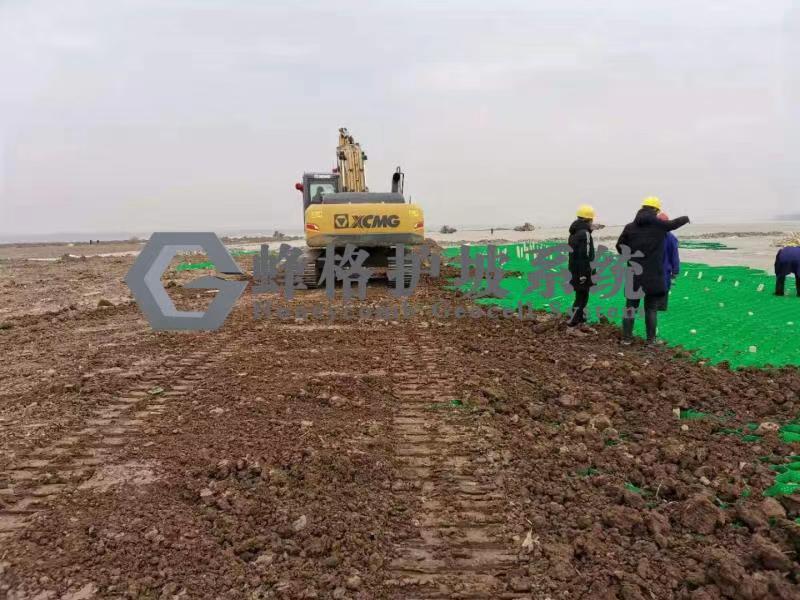 长江沙滩固沙工程