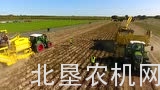 罗霸甜菜收获机专场演示会