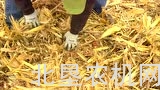 迪尔玉米收获机介绍三