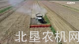 克拉斯LEXION 780履带收割机作业视频