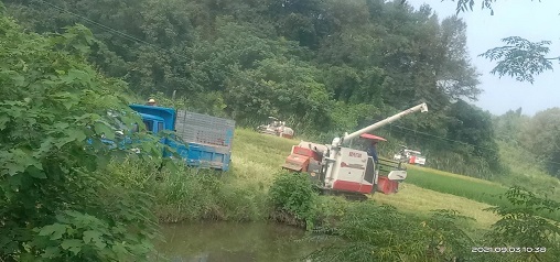 老苏服务日记2022年1月31号