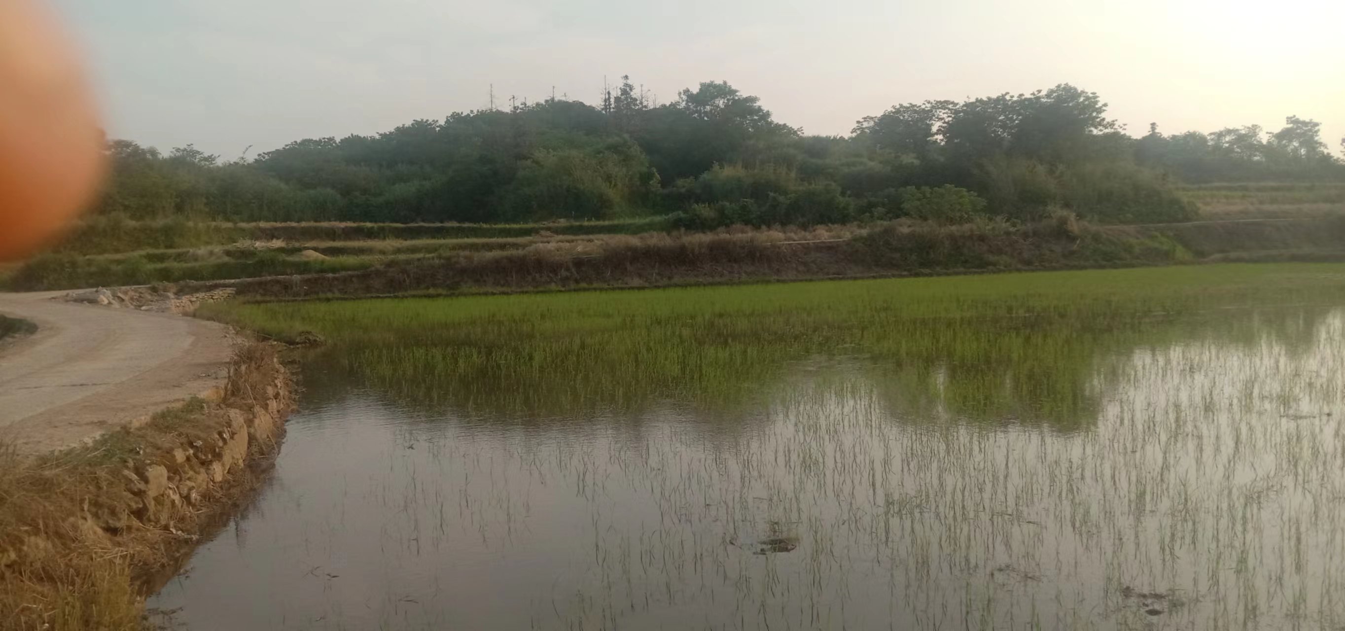 老苏服务日记2022年5月13号