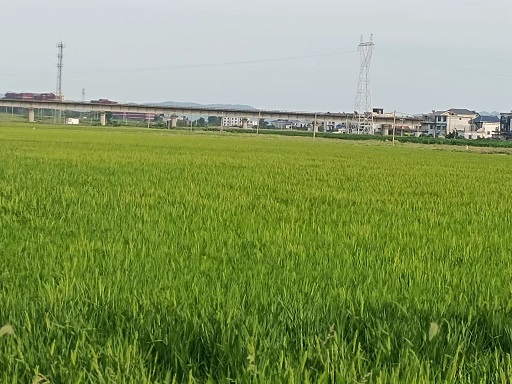 老苏服务日记2022年6月27日