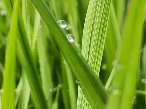 老苏服务日记2022年7月31日