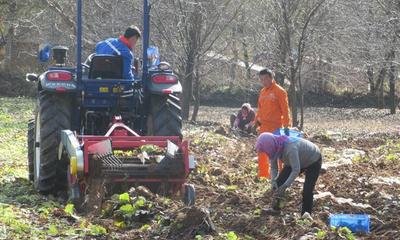 机械化视域下我国中药产业化现状与发展建议