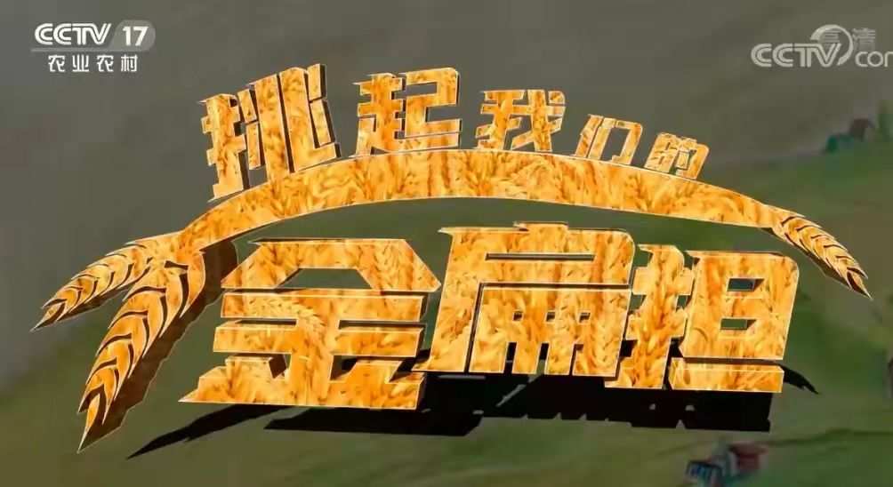 老苏服务日记2022年10月9日