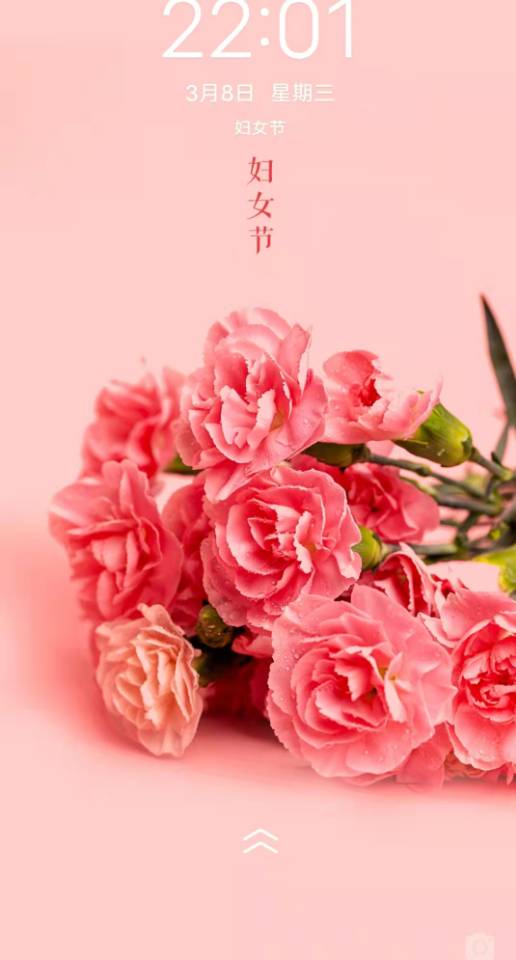 老苏服务日记2023年3月8日