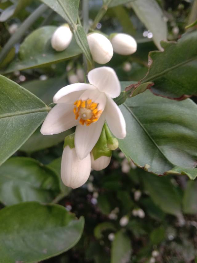 老苏服务日记2023年4月15日