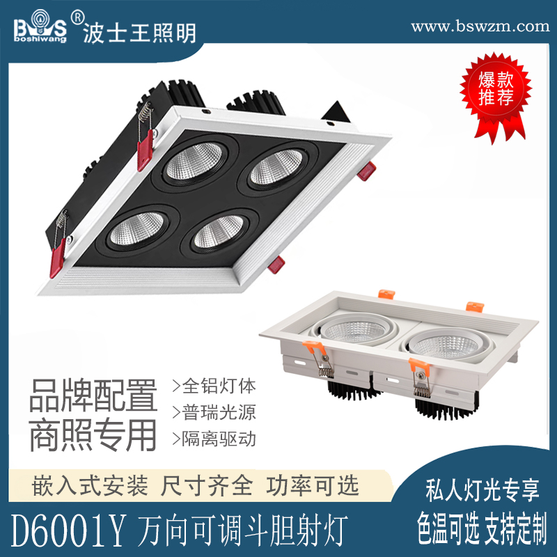 D6001Y新简易 万象转 斗胆射灯50.jpg