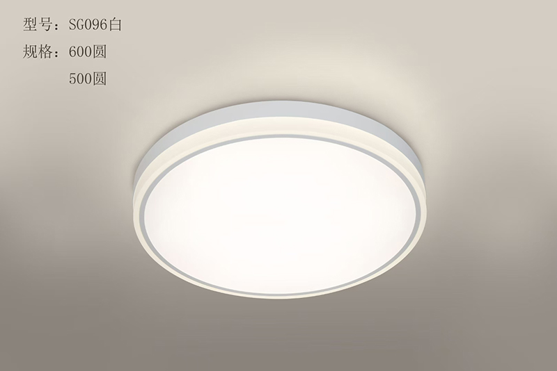 现代铁艺灯 SN-8897-5 (1).jpg