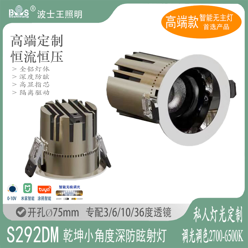 S292DM乾坤 小角度射灯30.jpg