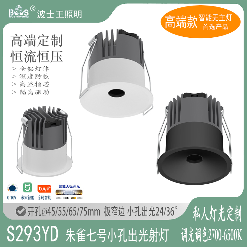 S295YD朱雀七号 小孔射灯30.jpg