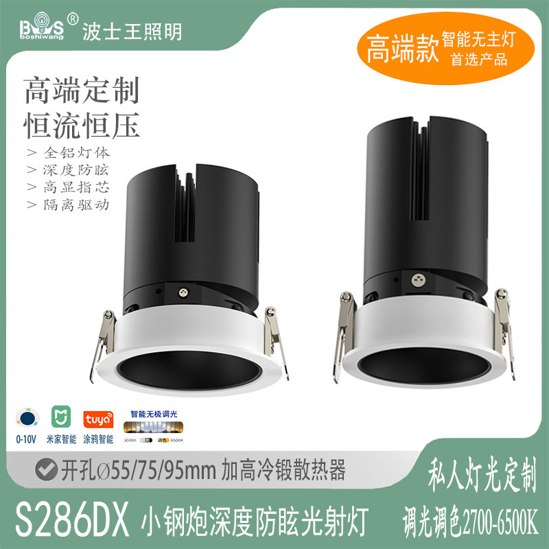 S286M1小钢炮41.jpg