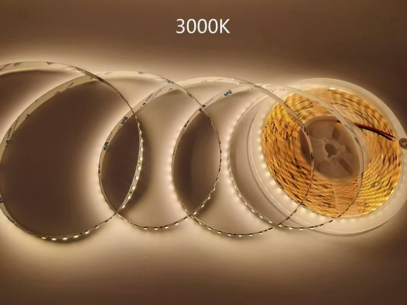 灯带10-3000.jpg