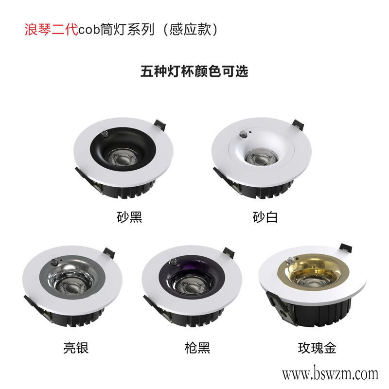 T337YX浪琴二代 感应筒灯3.jpg